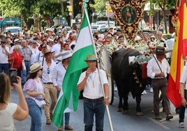 Marbella celebra su romería en honor a San Bernabé