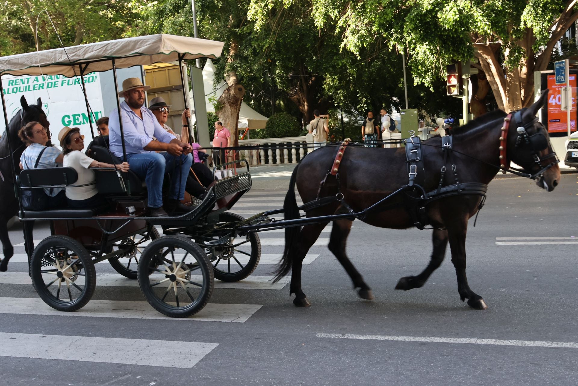 Marbella celebra su romería en honor a San Bernabé