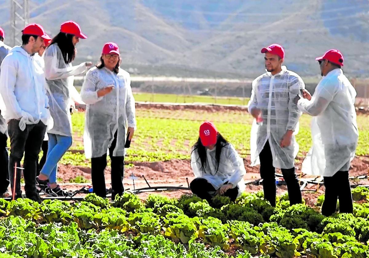 Este programa oficial forma a profesionales capaces de liderar la transformación del agro. .