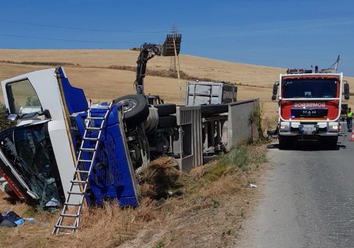 Un camión cargado de cerdos vuelca tras salirse de la vía en Teba