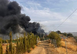 Imagen de la columna de humo, este martes en la Dehesa de Triana en Vélez-Málaga.