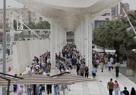 Así han conseguido la nacionalidad española 57.000 personas en Málaga desde 2013