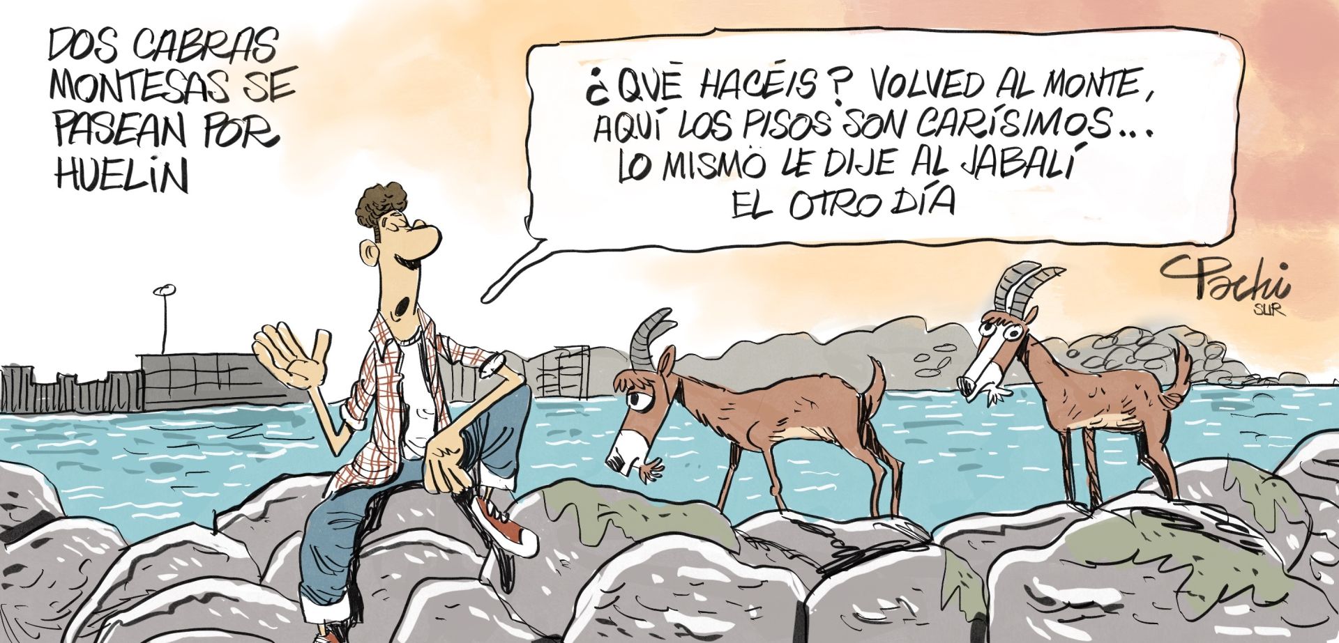 El mes de junio, en las viñetas de Idígoras y Pachi