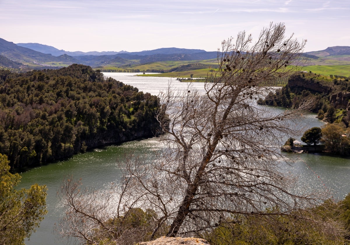 La seca hace estragos en el entorno del embalse del Conde del Guadalhorce.