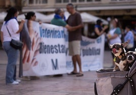 Un momento de la manifestación celebrada este sábado por las calles de Málaga.