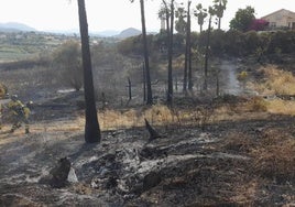 Superficie afectada por el incendio declarado en Alhaurín el Grande.
