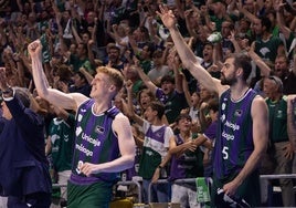 El banquillo del Unicaja celebra un triple.