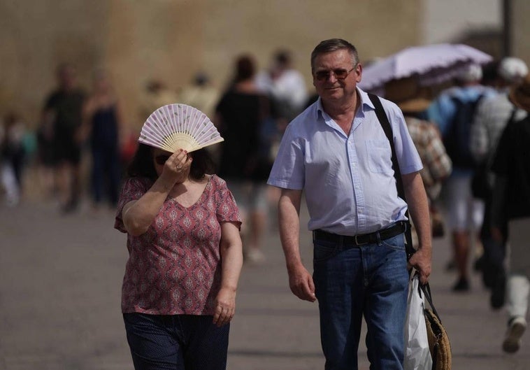El verano estará marcado por altas temperaturas, según Aemet.