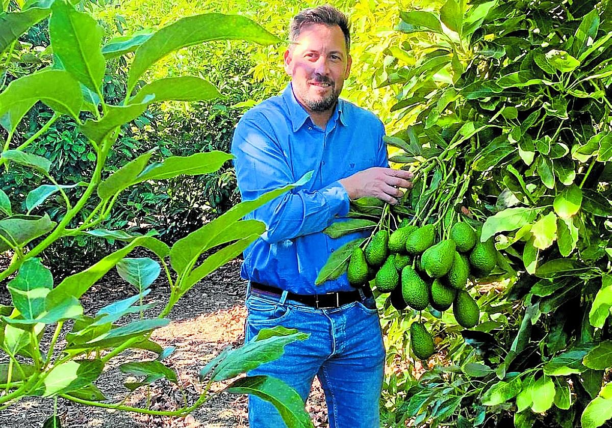 Sigfrido Molina es hijo y nieto de agricultores y lleva doce años al frente de su empresa de subtropicales.