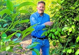 Sigfrido Molina es hijo y nieto de agricultores y lleva doce años al frente de su empresa de subtropicales.