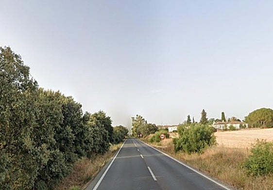 Imagen de un tramo de la carretera donde ocurrió el accidente.