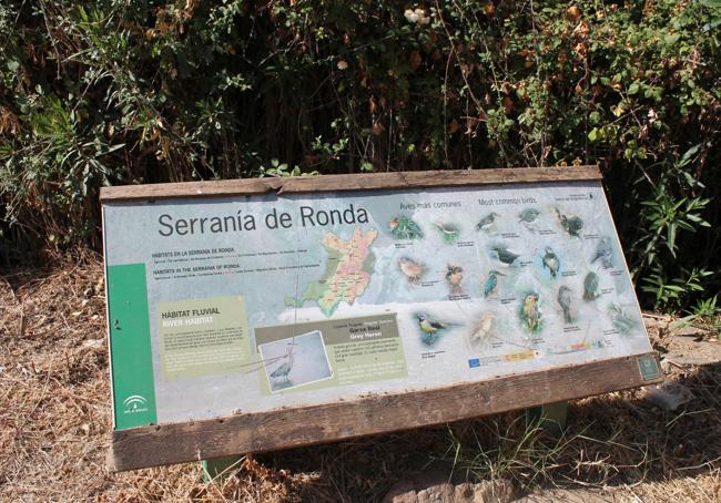 Hay un importante ecosistema en este enclave.