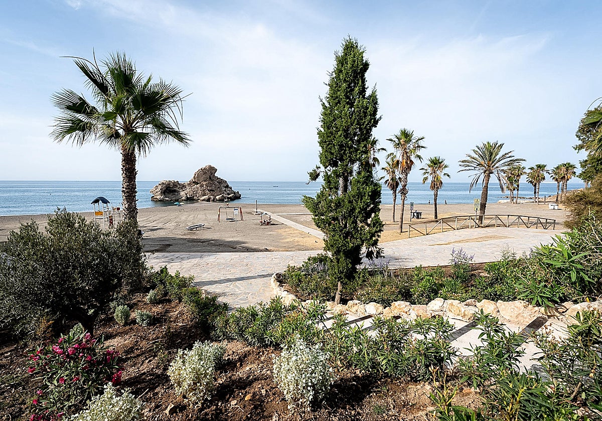 El entorno se ha resembrado con nuevos árboles y arbustos.