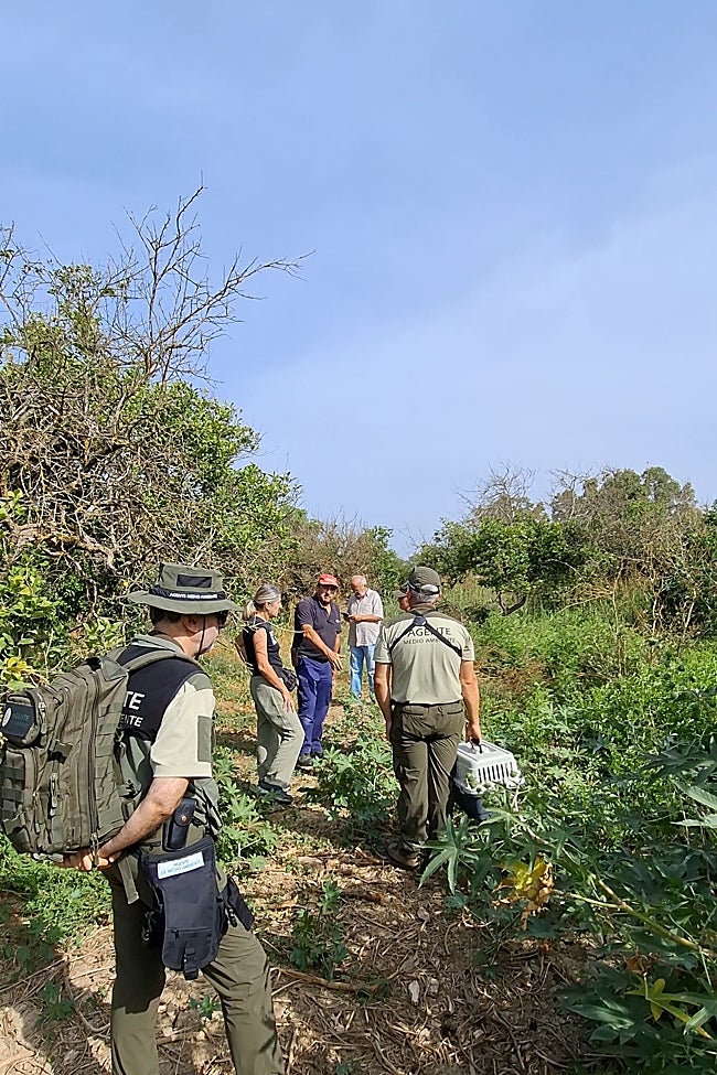 El propietario de una de las fincas pregunta a los agentes de Medio Ambiente de la Junta por el permiso para inspeccionar las tierras.