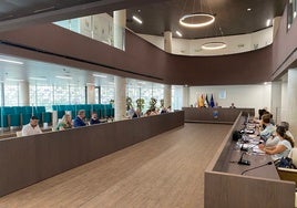 Pleno de junio del Ayuntamiento de Estepona.