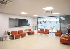 Insparya Málaga celebra su primer aniversario como referente de la salud capilar en Andalucía