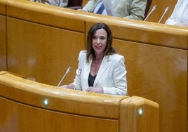 La consejera de Vivienda, Rocío Díaz, este lunes en el Senado.
