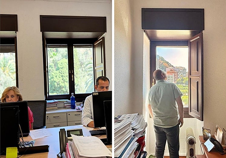 Los vencejos viven en los tambuchos del grupo socialista y de Con Málaga, mirando a los jardines de Puerta Oscura y Pedro Luis Alonso.