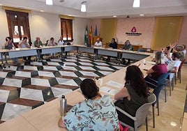 Pleno de la Mancomunidad Sierra de las Nieves.