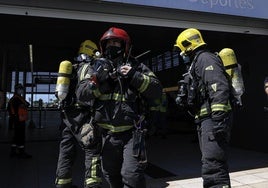 Hallan tres perros muertos tras el incendio de una vivienda de Málaga en San Juan