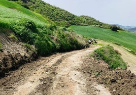 Foto de unos de los caminos afectados por la dana.