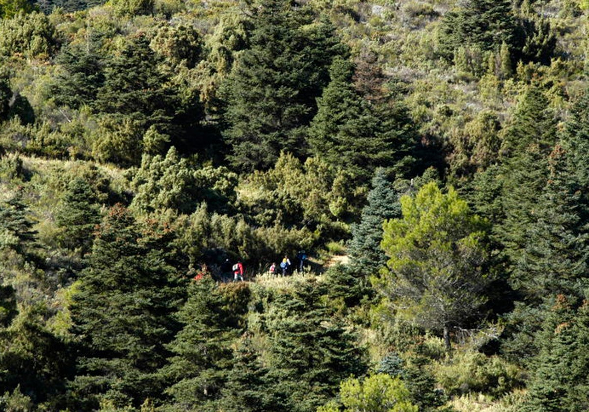 Paisaje de la Sierra de las Nieves en verano.