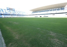 El césped de La Rosaleda, con algunas calvas aún, pero ya mucho mejor aspecto que al comienzo de la resiembra.
