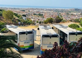 Imagen de los tres nuevos vehículos de transporte urbano de Vélez-Málaga.