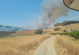 Extinguido el incendio en el paraje Las Millanas de Coín