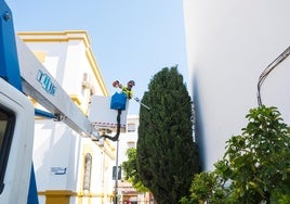 Un operario municipal trabajando en labores de cuidado de las zonas verdes.