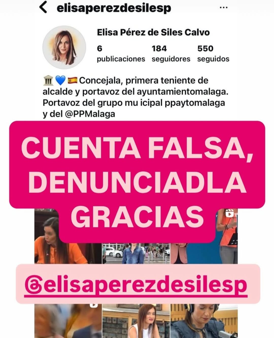 Suplantan la cuenta de Instagram de la teniente alcalde de Málaga, Elisa Pérez de Siles