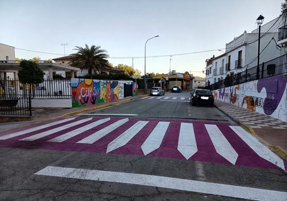 Uno de los pasos de cebra de Cuevas Bajas.