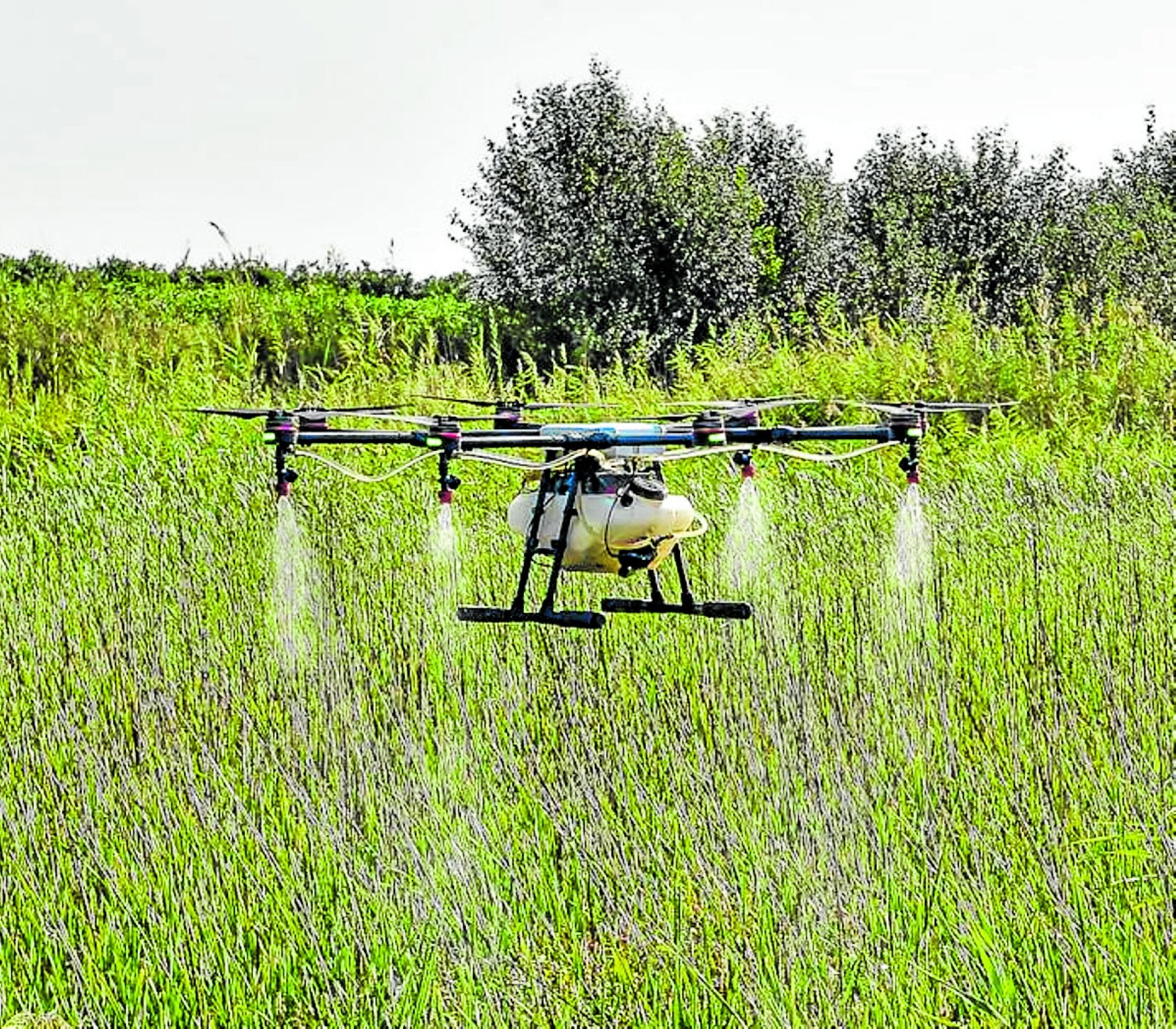 Fumigación con drones para prevenir la presencia de mosquitos transmisores del Virus del Nilo.