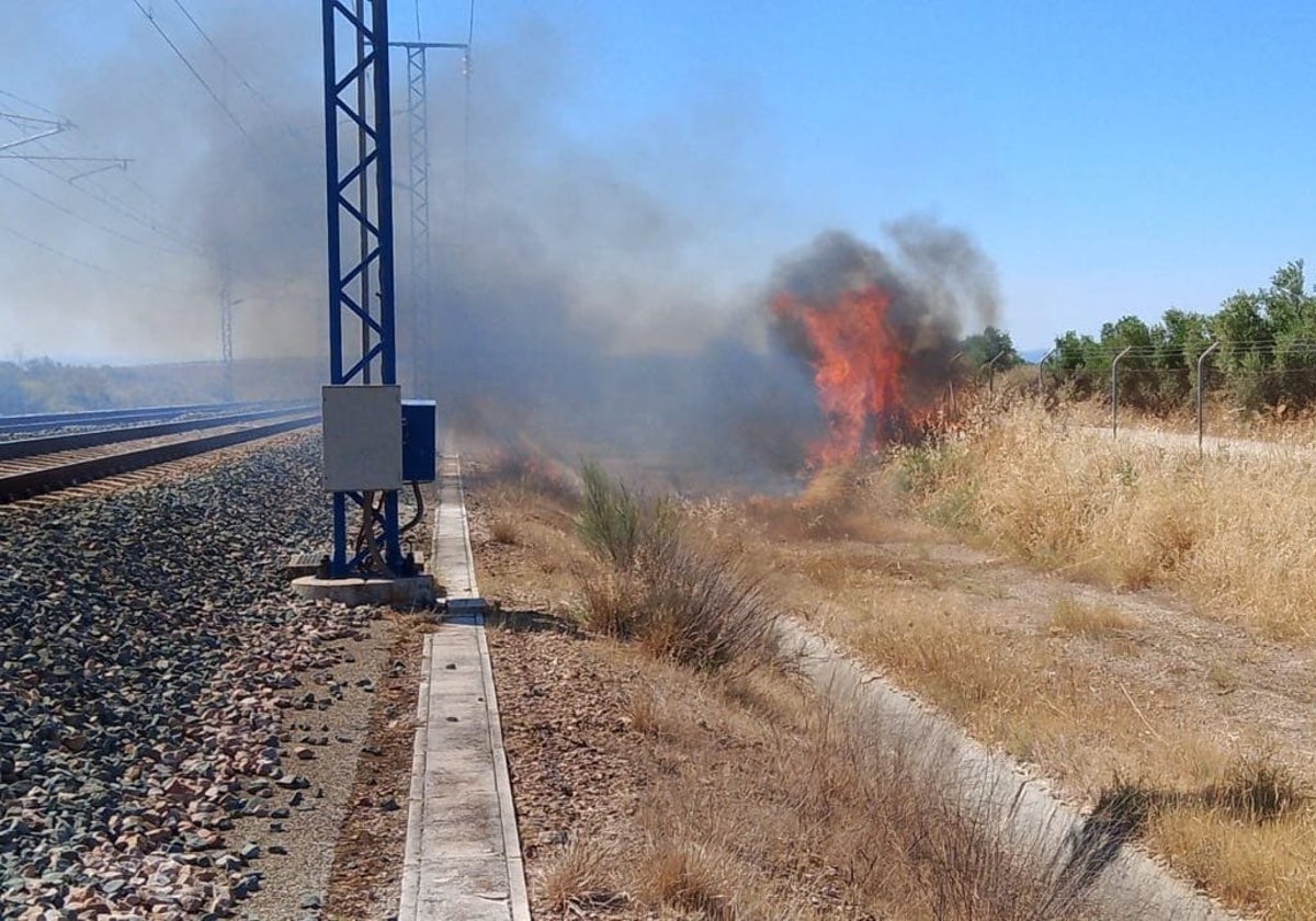 Imagen del incendio ocurrido próximo a las vías.
