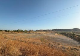 Terrenos de la zona de la Junta de los Caminos reservados para la futura Rosaleda.
