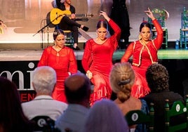 Gran espectáculo flamenco más consumición en Mi Caseta