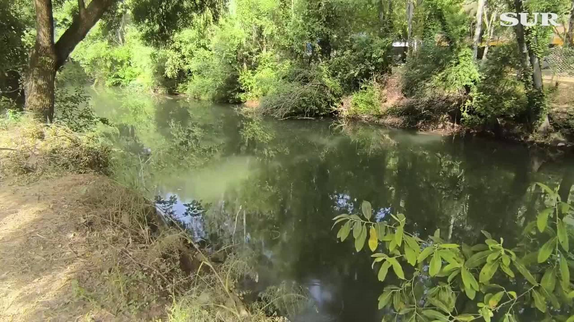 Ruta fluvial de Jimera: El camino que une a dos de las charcas más espectaculares de la Serranía de Ronda en Málaga