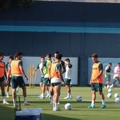 Los jugadores del Málaga, varios de ellos centrocampistas, durante un entrenamiento reciente.