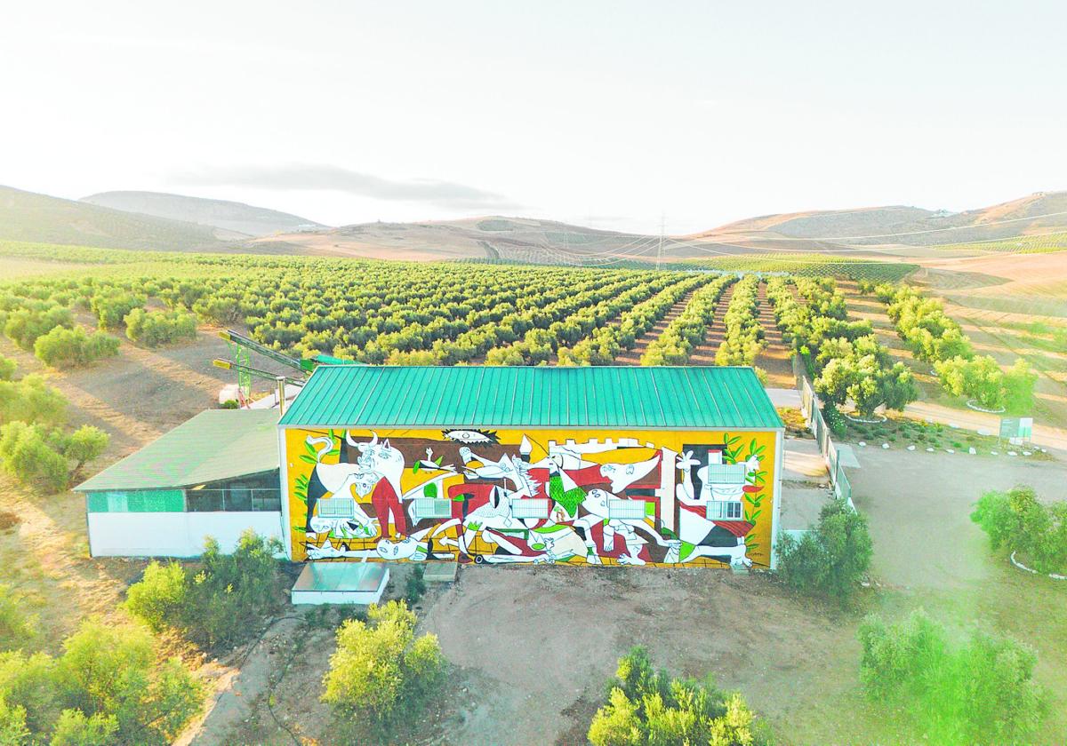 Almazara Terraverne: la excelencia del producto como razón de ser