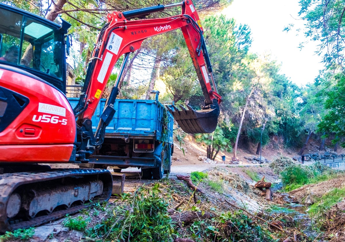 Limpiezxa en el Arroyo Guadalpín de Marbella.