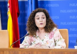 Inmaculada Nieto, portavoz de Por Andalucía.