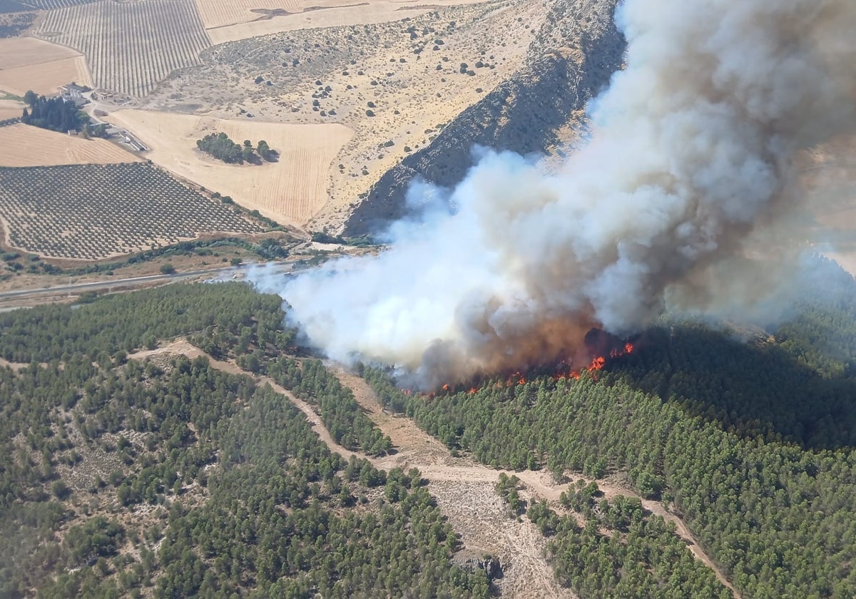 Controlado el incendio forestal en Antequera