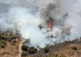 Controlado el incendio forestal en el paraje Jarazmín, en Málaga capital