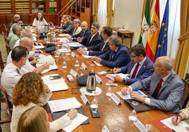 Una imagen de la reunión de la mesa de coordinación del IV Plan Especial de Seguridad del Campo de Gibraltar.