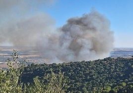 Reactivado de madrugada el incendio que ha obligado a desalojar cien viviendas en la Sierra de Córdoba