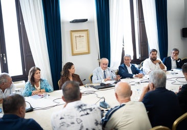 Las tres instituciones se reúnen con el Málaga y las peñas para evaluar la nueva ubicación de La Rosaleda