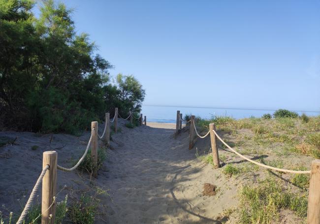 Una playa con dunas en El Morche