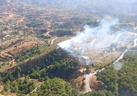 La provincia de Málaga registra tres incendios en sólo unas horas