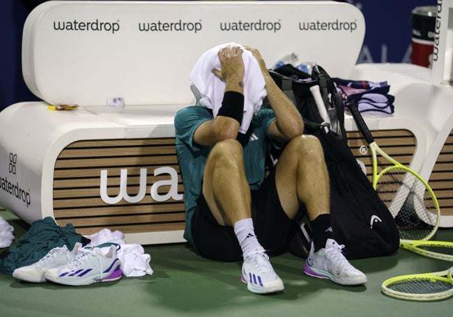 Davidovich se tapa tras la derrota.