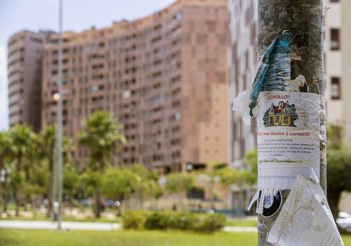 Encontrar un alquiler asequible en Málaga se ha convertido en tarea casi imposible.